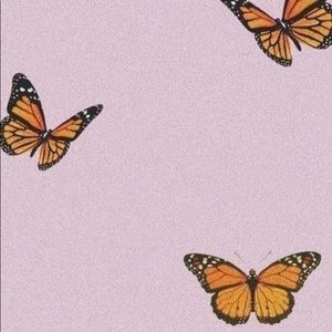 Meet your Posher, Ariyanna